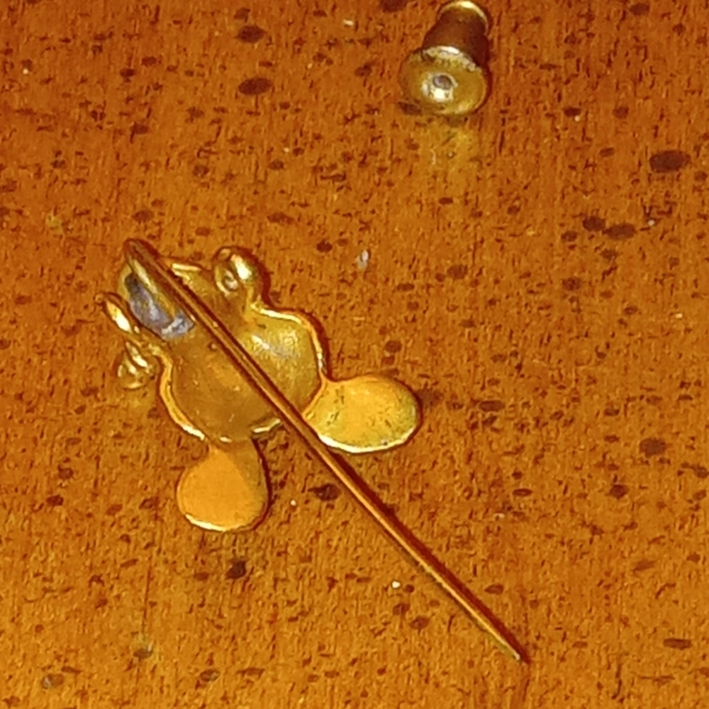 Frog Pin - Picture 9 of 14